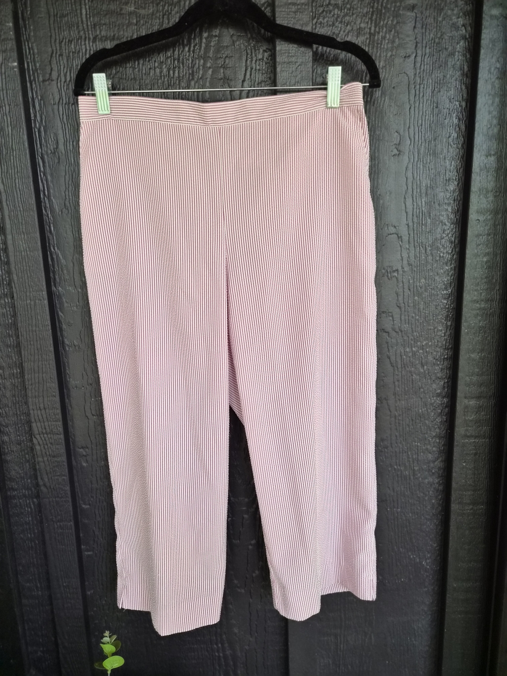 Alfred Dunner Blush Pink Pleated Cropped Wide-Leg Pants